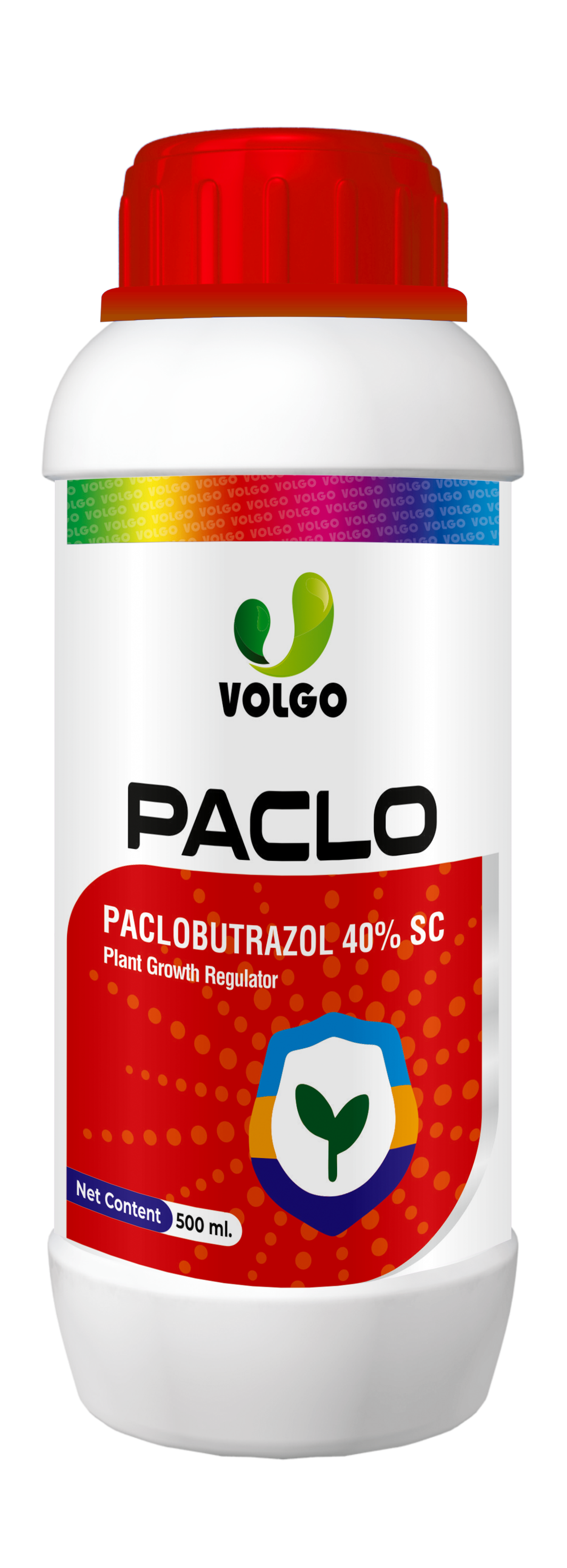 Paclo