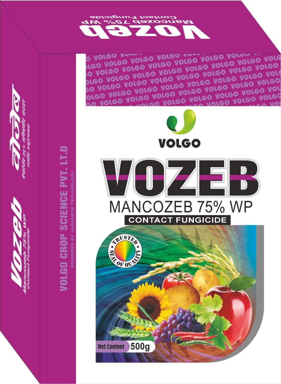 VOZEB